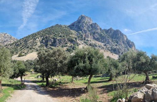 El Pitijopo - Foto 38