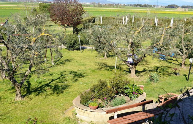 Agriturismo gli Etruschi - Foto 35