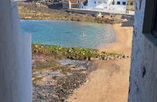 Siempreviva - Photo 34