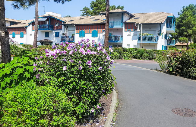 Les Berges Landaises - Foto 11