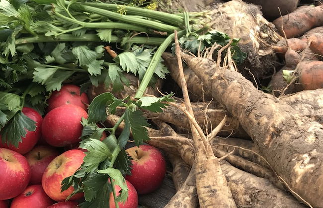 Strandsegård Ferielejligheder - Foto 70