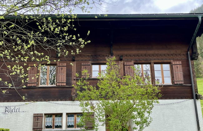 Akelei (gross) - Photo 3