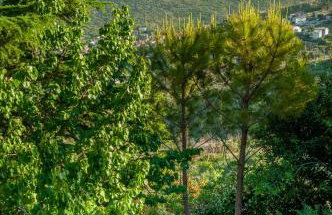 Villa Blanka - Photo 32