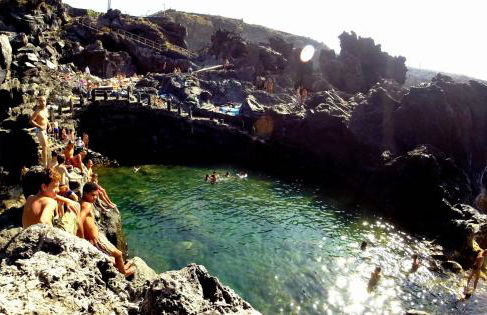 Phoenix Canariensis - Foto 24