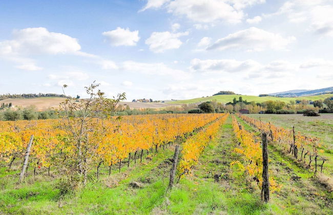 Tuscany Family Country Home - Photo 26