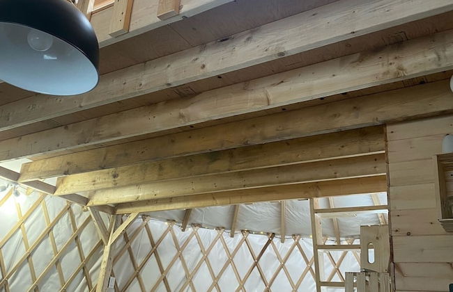 Yourte expérience Charlevoix - Foto 26