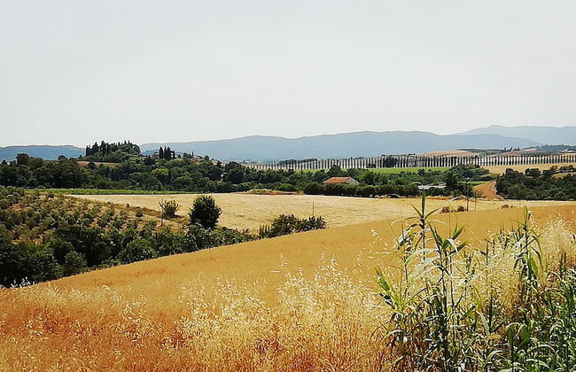 Home by Mel G Manciano - Foto 23