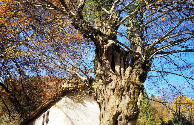 CasaZefira - Foto 26