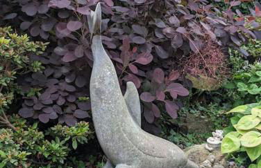 TeachinTom - Foto 10