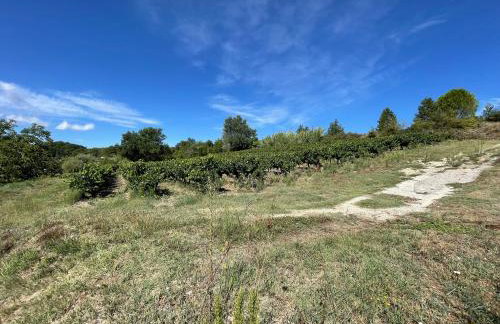 Les Cigales de Mollans - Foto 17