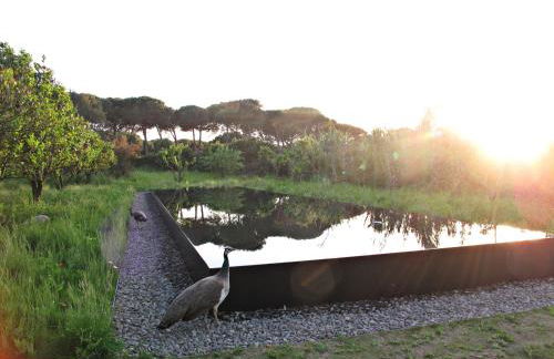 Quinta Do Miguel - Foto 16