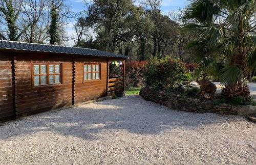 Le Chalet de l'Adrech - Foto 51