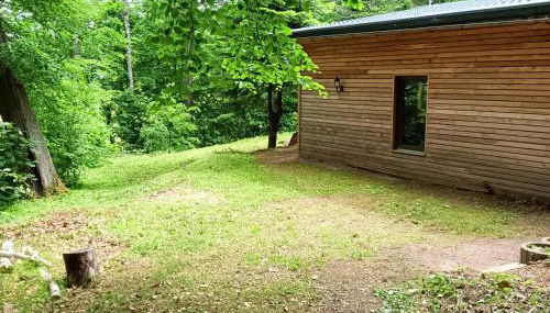 Waldhaus Hempe - Foto 3