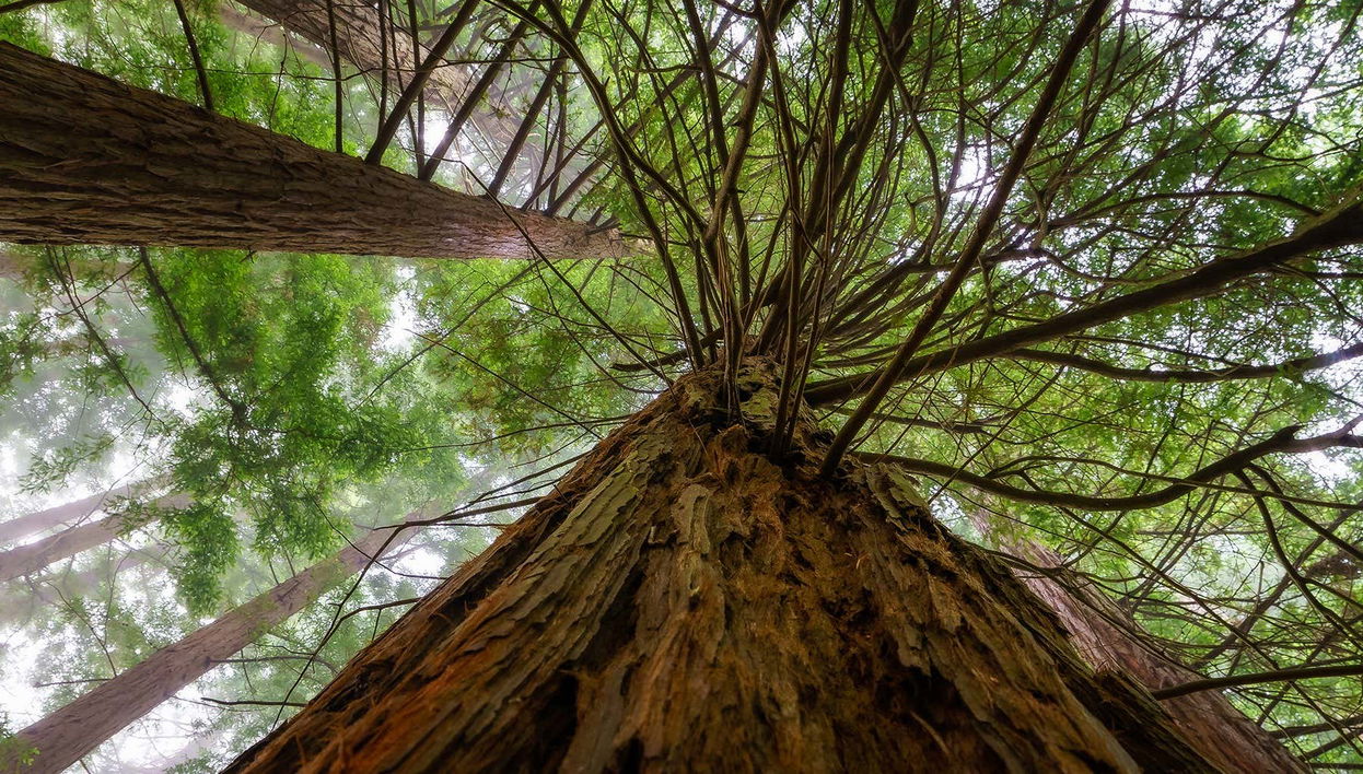 Tour in Santander - Foto 1