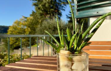 Casa Branca de Oura - Amazing Valley View - Foto 49