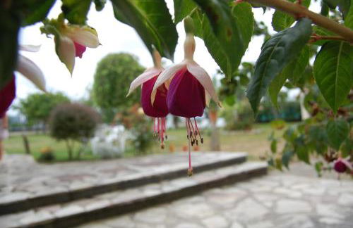 Vivienda Vacacional Casa Fidel - Foto 7