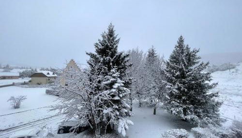 Studio cabine chaleureux - Foto 2