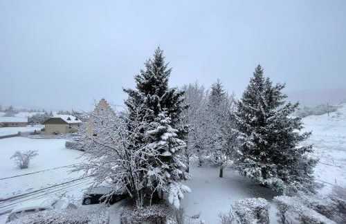 Studio cabine chaleureux - Foto 2