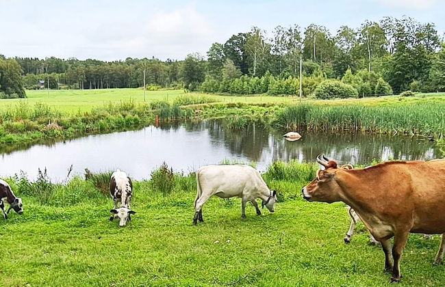 4 Person Holiday Home in Halmstad - Foto 9