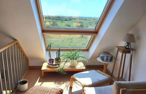 Les 3 Mésanges - Foto 27