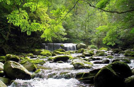 Gîte chalet la Bergerie de Sentantony - Val d'Azun - Montagne Pyrénées - Photo 39