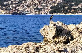 Beautiful seaside 2 bedroom apartment Babina - Foto 43