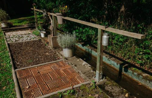 Ferienwohnung Panorama Teichblick - Foto 21