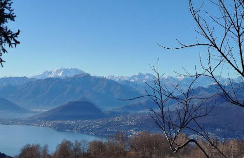 Alma botanic house - Foto 27