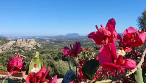 Belvedere Country House - Foto 3