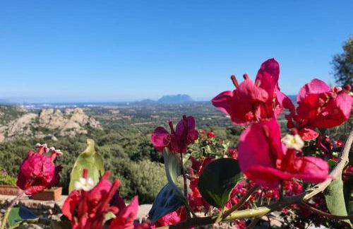 Belvedere Country House - Foto 3