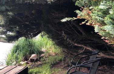 Lakeside Studio – Haus mit Seezugang - Photo 33