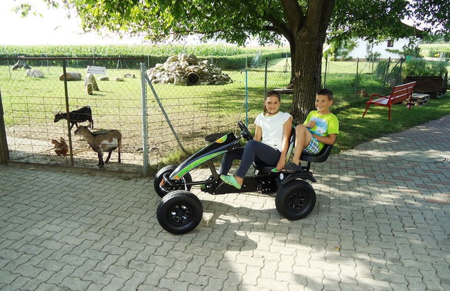 Erlebnisbauernhof Tschom - Foto 73