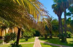 San Michele Apartments&Rooms - Foto 5