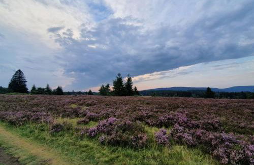 Ferienhaus Junge Ruhr - Foto 36