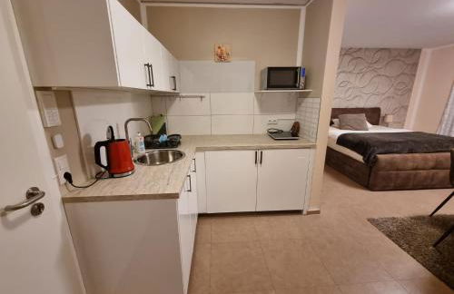 Aparthotel Magnolia - Foto 2