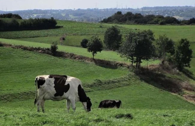 Riverside Loft in Esneux - Foto 41