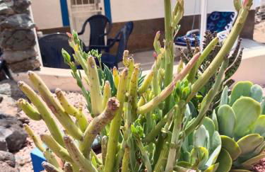 Casa marinera en la Orilla del mar - Photo 26