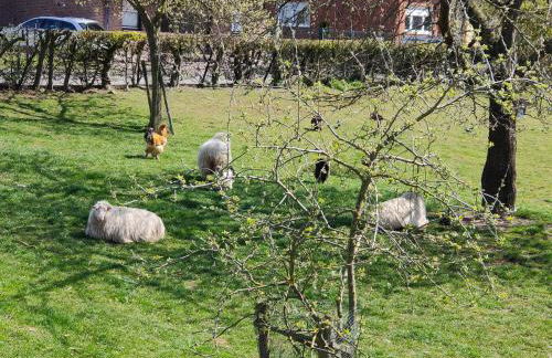 Neue Ferienwohnung 'Caracterre' auch Monteur- und Langzeitvermietung - Foto 12
