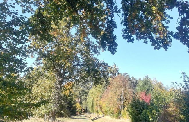 \"the Elf\" Comfortable Holiday Residence - Foto 15