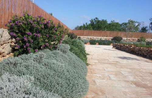 S'Hort Can Capità - Foto 27