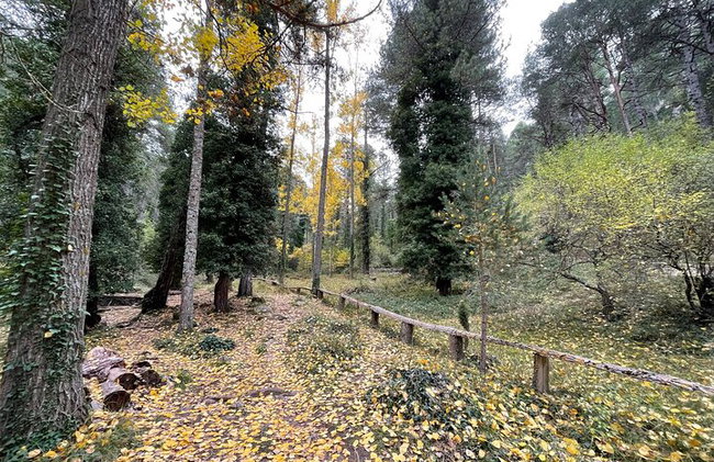 El Penyagolosa (1813m) - Corona el Pico Más Alto.- GUÍA OFICIAL - Foto 12