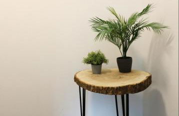 Schwarzwaldhorst Fewo 2 - mit 4 Schlafzimmer - Todtnau, Liftverbund Feldberg - Foto 11