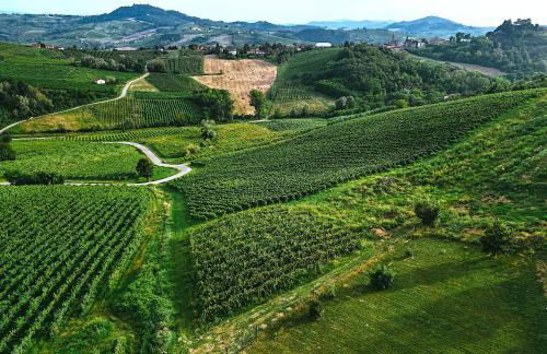 Residenza Salvia CASA GUARNONE - Photo 50