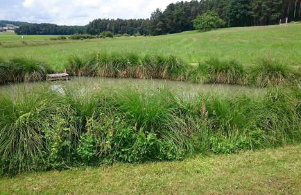 Ferienhaus "Kleine Auszeit" Parkstraße - Foto 52