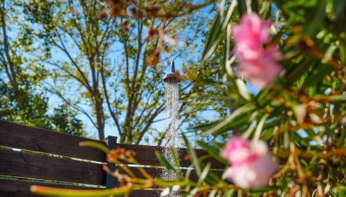 Villa Sofia Stella in Ionian Islands - Foto 3, Garden, Garden view, Shower