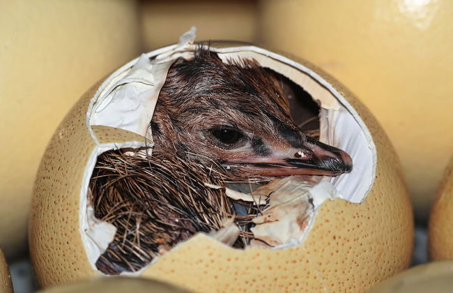 Berluda Farmhouse & Cottages - Photo 54