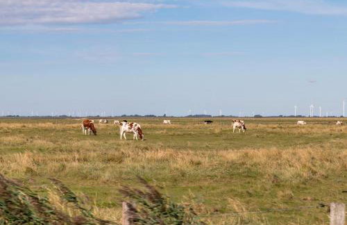 Haus Nommensen - Foto 18