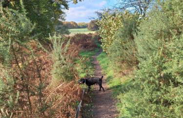 Tarnside Cottages - Foto 34