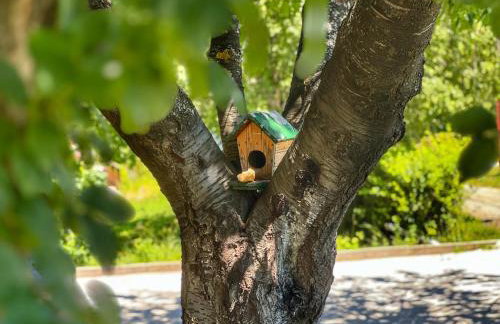 Apartman Cherry Plitvice Lakes - Foto 5