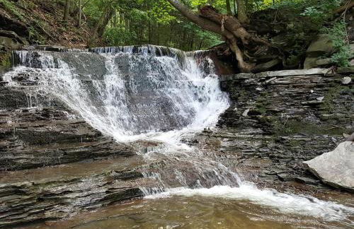 Woodland Hideaway - Foto 31